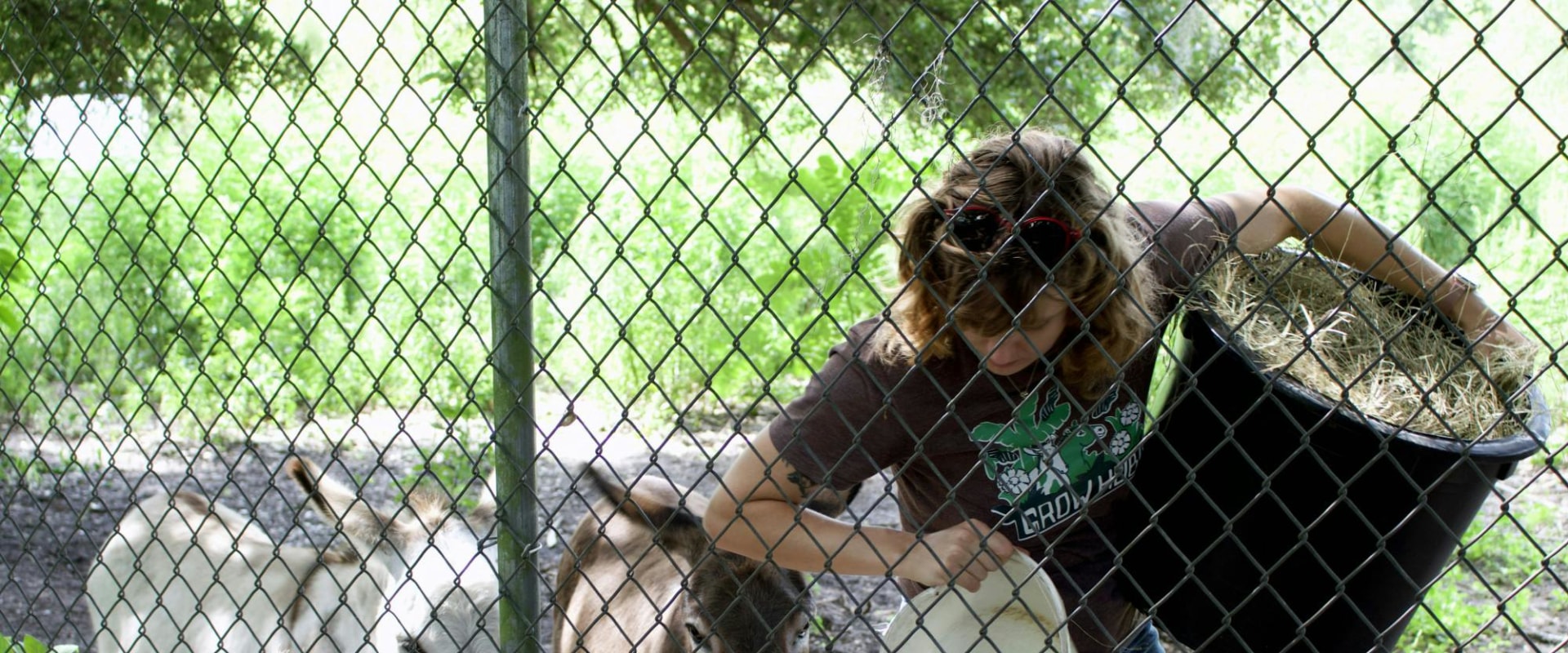 Empowering Individuals with Disabilities in Alachua County, FL